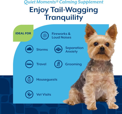 Quiet Moments Calming Dog Supplement, Dog Soft Chews with Melatonin to Help Reduce Stress from Storms, the Vet, Fireworks, and Travel, Bacon and Chicken Flavored Pet Supplement, 70 Count Jar