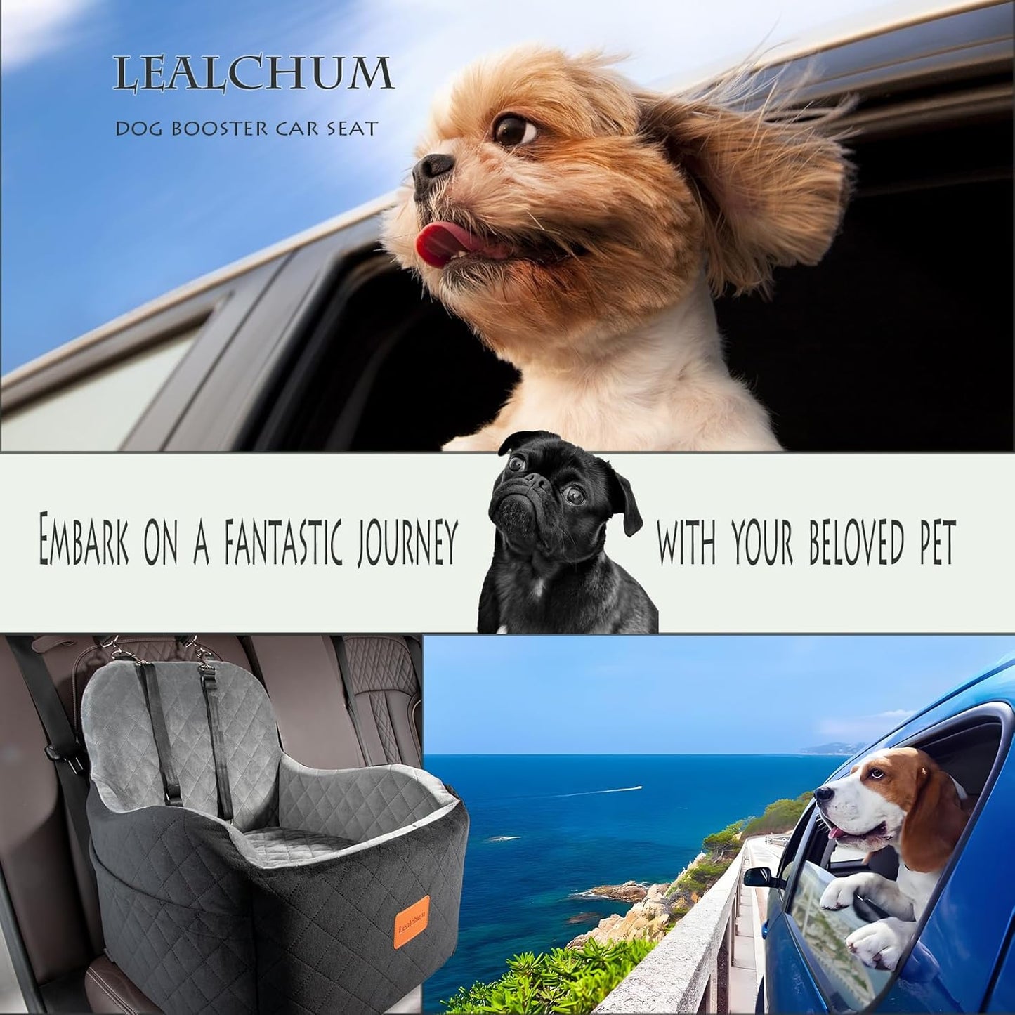 Elevated Memory Foam Dog Booster Car Seat for Small to Medium Dogs, Fully Detachable and Washable with Safety Leashes and Anti-Slip Base (Black/Grey, Medium)
