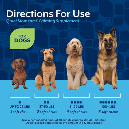 Quiet Moments Calming Dog Supplement, Dog Soft Chews with Melatonin to Help Reduce Stress from Storms, the Vet, Fireworks, and Travel, Bacon and Chicken Flavored Pet Supplement, 70 Count Jar